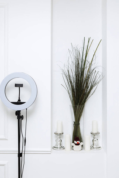 Beauty Salon Interior. Ring LED lamp and ornamental plant. - Photo, Image