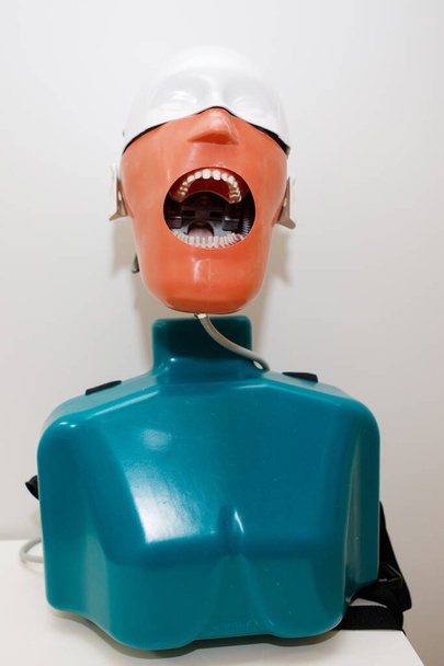 Maniquí de dientes para la formación de estudiantes de dentistas. - Foto, Imagen
