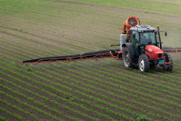 Traktör tarlada böcek ilacı kimyasallarıyla gübreleme yapıyor.  - Fotoğraf, Görsel