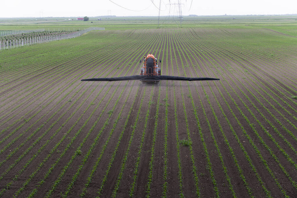 Traktor-Spray düngt Feld mit Insektiziden Herbizidchemikalien in der Landwirtschaft  - Foto, Bild
