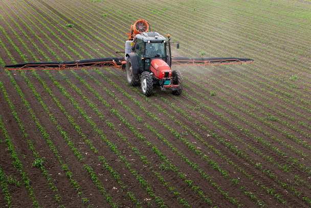 Тракторный аэрозоль удобряет поле инсектицидом гербицидов химикатами в сельском хозяйстве  - Фото, изображение