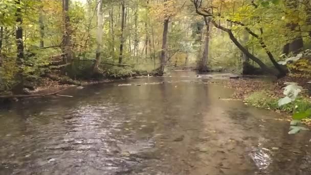 Křišťálově čistá voda tekoucí přes skály a kameny s mechem a hedvábnými vlnkami lesním potokem na turné v nízkém úhlu pohledu a zblízka ukazující idylickou scénu na podzim a podzim - Záběry, video