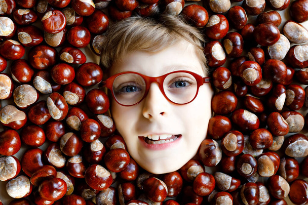 Vtipný portrét předpuberťáka nebo školáka s brýlemi a spoustou kaštanů. Usmívající se šťastné dítě baví na podzim den se školním projektem. - Fotografie, Obrázek