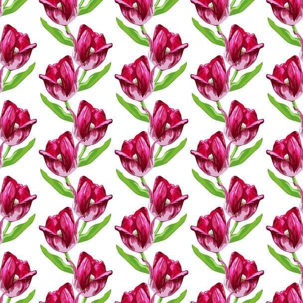 Елегантний безшовний візерунок з квітами тюльпанів, елементами дизайну. Квітковий візерунок для запрошень, листівок, друку, упаковки подарунків, виробництва, текстилю, тканини, шпалер
 - Вектор, зображення