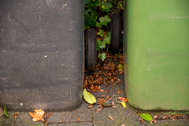 Mülltonnen mit Herbstlaub für Restmüll und Papiermüll - Foto, Bild