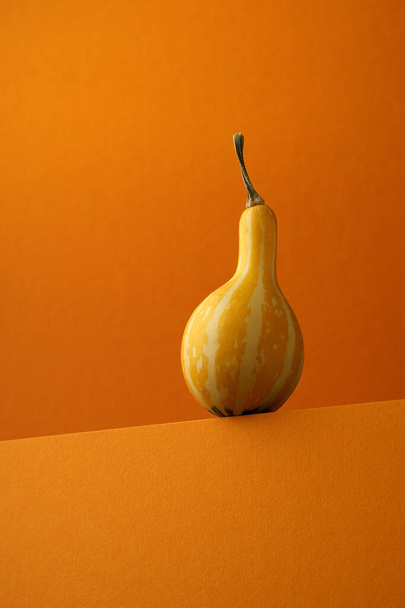 Yellow small pumpkin on a orange surface over orange background. Modern vegetable still life. - Foto, afbeelding