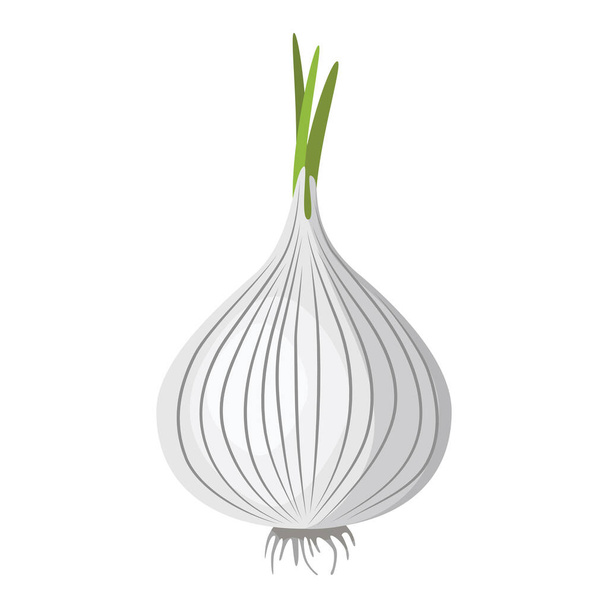 White onion. Delicious and healthy vegetable used in food. A root vegetable that is prepared as a seasoning. Vector illustration isolated on a white background for design and web. - Vettoriali, immagini
