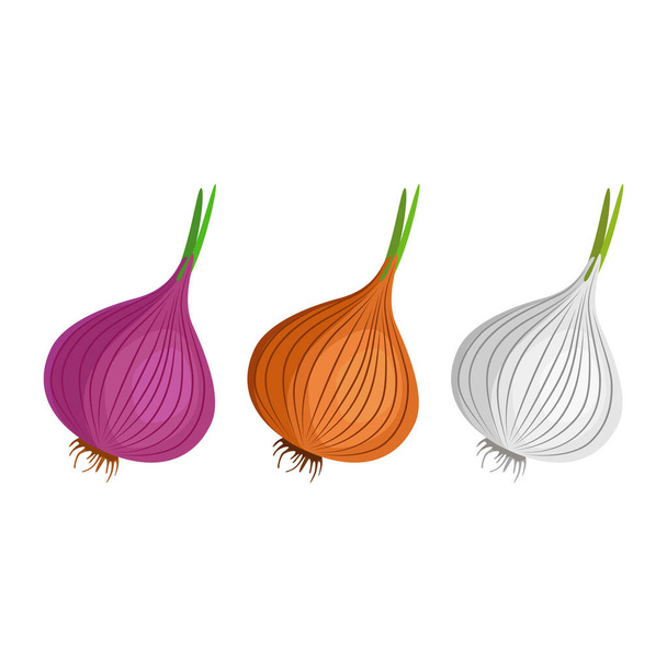 Varieties of onions. Delicious and healthy vegetable used in food. A root vegetable that is prepared as a seasoning. Vector illustration isolated on a white background for design and web. - Vektori, kuva