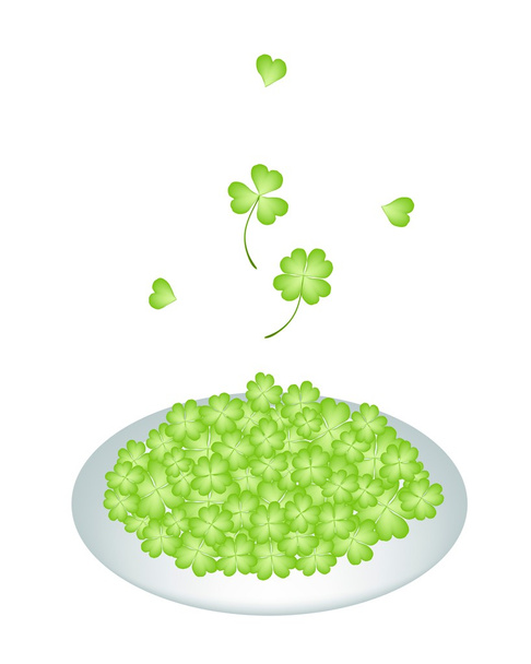 A Lot of Four Leaf Clovers on Plate - Vector, Image