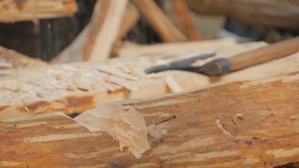 Αργή κίνηση: άνθρωπος ξυλοκόπος κοπή μεγάλο κούτσουρο με τσεκούρι στο ιστορικό φεστιβάλ - Πλάνα, βίντεο