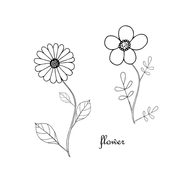 Kwiat z liśćmi atramentu monochromatyczny ręcznie rysowany szkic. Sztuka natura projektowanie element czas wektor ilustracja do sieci, do druku, do projektowania herbaty produktu - Wektor, obraz