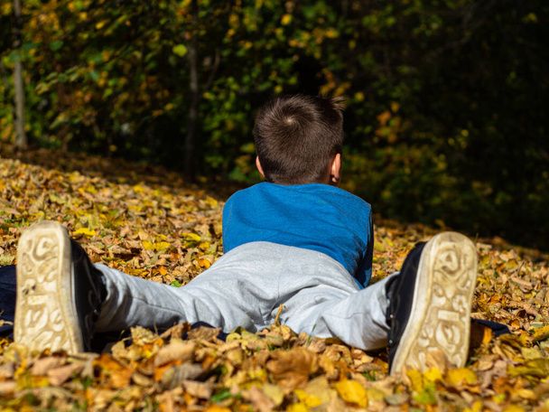 cute boy lying on a blanket in an autumn Park. the yellow foliage. rear view of the soles of the shoes. - Fotografie, Obrázek