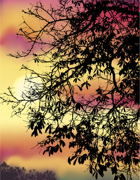 Autumn chestnut branches against evening sky - Vector, Image