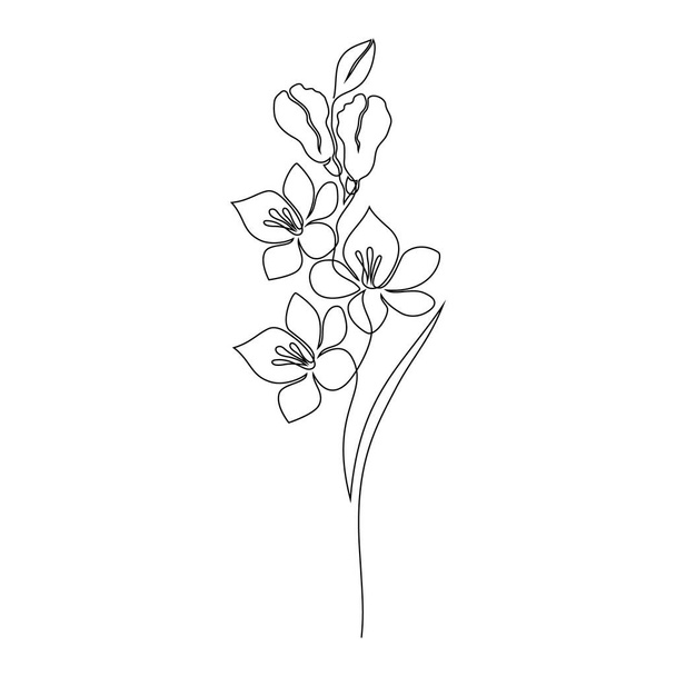 Freesia flower on white - Vector, Image