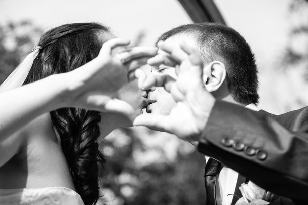 Φιλί νύφη και ο γαμπρός, κρατώντας τα χέρια στο σχήμα της καρδιάς - Φωτογραφία, εικόνα