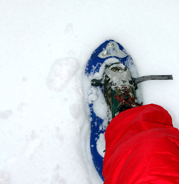 niebieski śniegu buty do chodzenia po śniegu - Zdjęcie, obraz