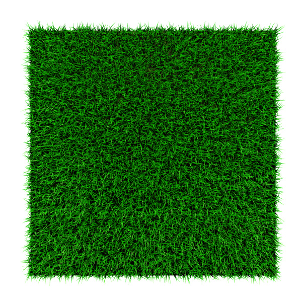 трави в квадраті
 - Фото, зображення