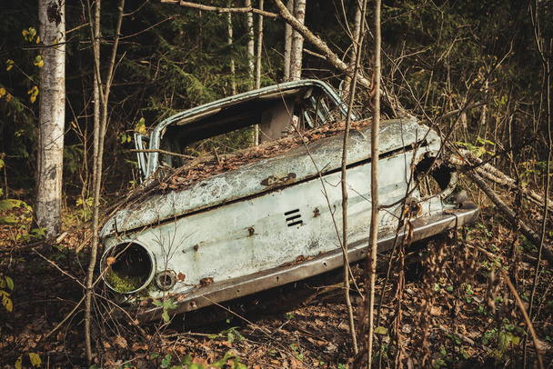 Lost car in the forest/old abandoned and dismantled machine in the forest - Foto, afbeelding