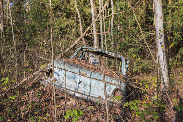 Lost car in the forest/old abandoned and dismantled machine in the forest - Foto, Bild