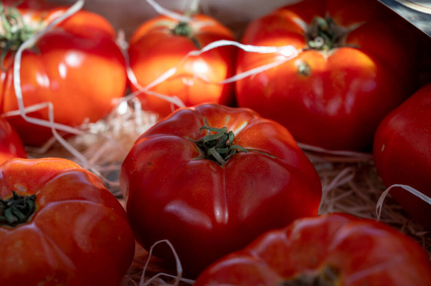 Assortiment de tomates salades françaises, nouvelle récolte de grosses tomates hérissées sur le marché en Provence, France par temps ensoleillé - Photo, image