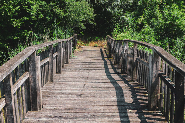 Antiguo puente de madera resistido a través de las edades de pie sobre el arroyo del pantano en el borde del Rit de Kopacki, famoso parque nacional en Croacia continental en la región de Baranja                          - Foto, imagen