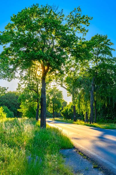 Road in the surrounding area of Berlin in the light of the setting sun. - Foto, imagen