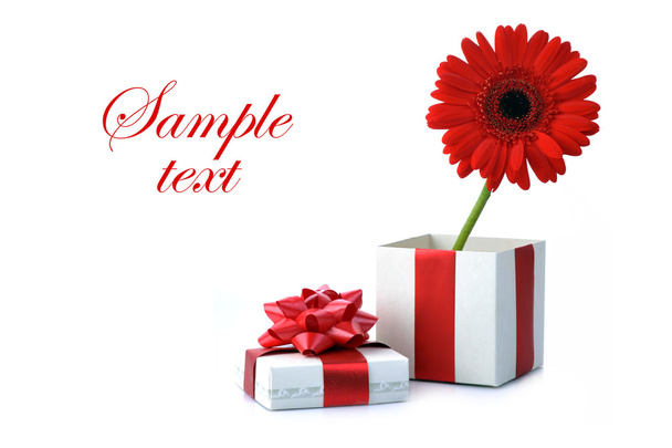 Gift and red flower - Фото, зображення