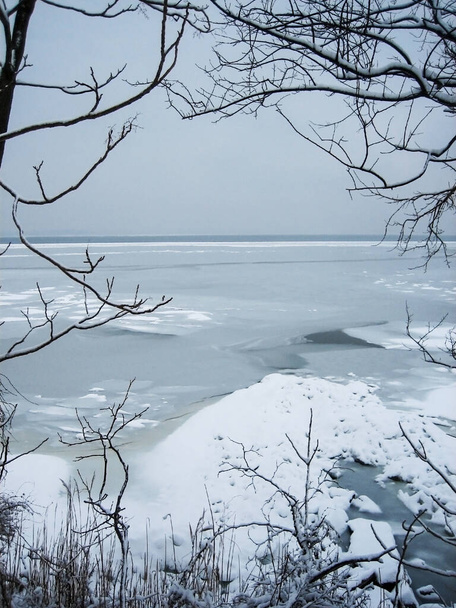 Una vista de un lago helado cubierto de nieve y plantas secas en la nieve. Paisaje invernal en una paleta de colores neutros - Foto, imagen