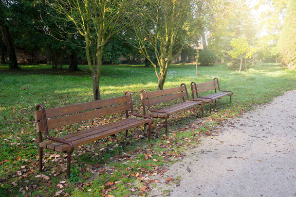 Brillo de la mañana en el parque en el otoño - Foto, Imagen