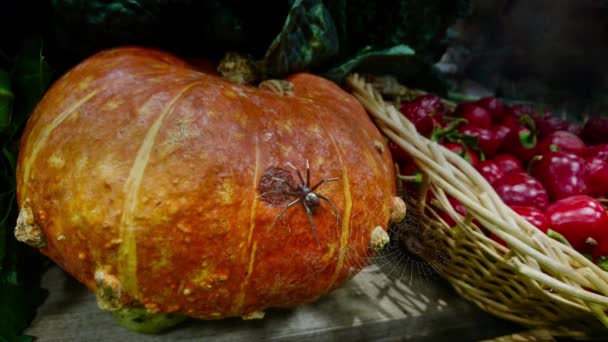 Gruselige riesige Halloween-Spinne auf einem klumpigen Kürbis auf einem Markt. - Filmmaterial, Video