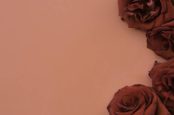 Ciemnoczerwone róże na czerwonej tablicy, tło Walentynek, dzień ślubu. Love Concept Walentynki Karta z czerwonym tłem i copyspace dla tekstu powitalnego - Zdjęcie, obraz