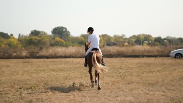 Eine Reiterin trainiert vor einem Springwettbewerb. Pferdesport, Springwettbewerb. - Filmmaterial, Video