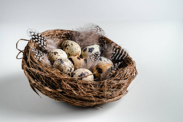 Gelukkig Pasen. Kwarteleieren met veren in het nest. wenskaart - Foto, afbeelding