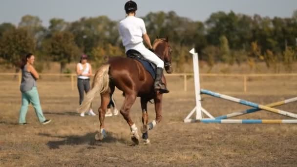 A rider trains before a show jumping competition. Equestrian sport, show jumping competition. - Footage, Video