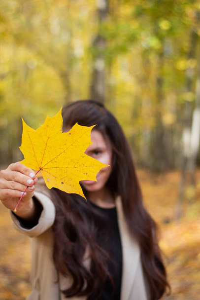 Brunette woman in autumn park with yellow leaf. Close plan. Smiling woman. Autumn mood. Beautiful brunette. - 写真・画像