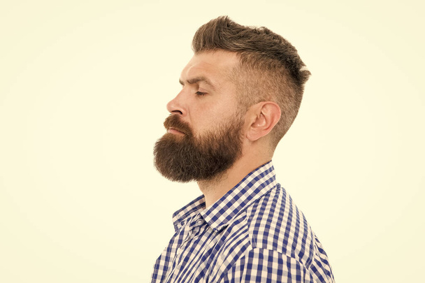 charismatic male looking serious. mustache from barber. Mature hipster with beard. trendsetter hipster with mustache profile. mustachioed and bearded male. after hairdresser salon. barbershop master - Фото, изображение