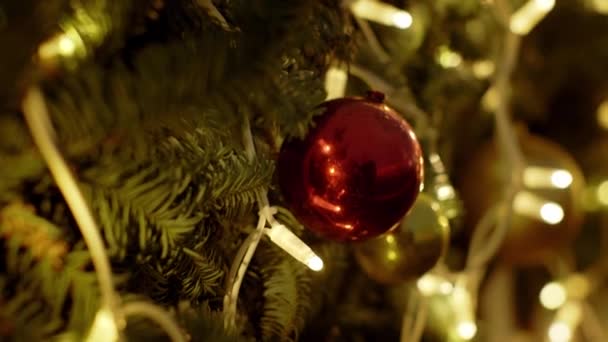 Closeup de várias bolas de Natal de plástico vermelho penduradas na árvore artificial de abeto de natal. Vídeo em stock. Decorações coloridas e luzes de corda. Cor enfeites de Natal pendurados na árvore. O Bauble. Feliz. - Filmagem, Vídeo