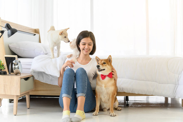 Junge Asiatin entspannt sich und spielt mit drei Hunden (brauner Shiba Inu, weißer Shiba Welpe und weißer Malteser) im Schlafzimmer zu Hause, fröhliches und nettes Paar mit Menschen und Haustier. Haustierliebhaber-Konzept - Foto, Bild