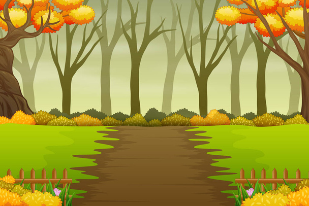 Landscape of forest path in autumn with bare and yellow trees - Vector, Image