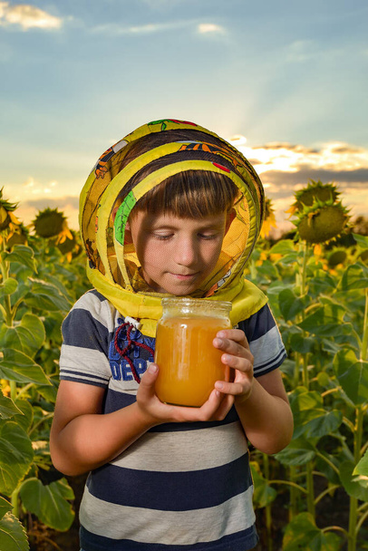 Un niño sosteniendo un frasco de miel en sus manos en un campo entre girasoles, el concepto de un colmenar. - Foto, Imagen