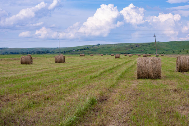 Paisaje rural natural con un campo, rollos de heno, nubes cúmulos en el cielo. Vida rural - Foto, imagen