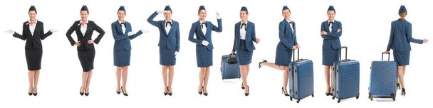 Collage of beautiful stewardess on white background - Photo, Image