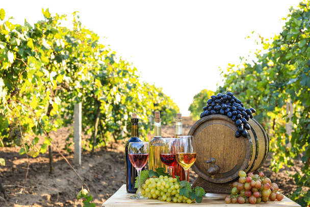 Tasty wine and ripe grapes on table in vineyard - Photo, Image