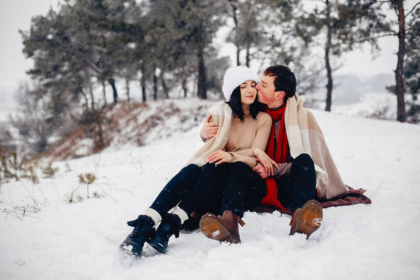 Loving couple walking in a winter park - 写真・画像