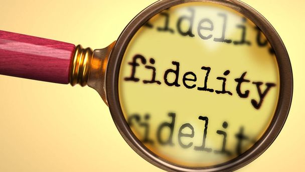 Examine and study fidelity, showed as a magnify glass and word fidelity to symbolize process of analyzing, exploring, learning and taking a closer look at fidelity, 3d illustration - Photo, Image