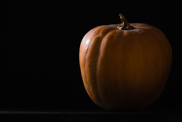 An orange pumpkin on a dark  background - Foto, immagini