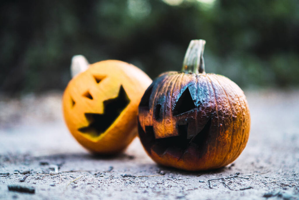 A closeup shot of carved pumpkin - the concept of Halloween - Zdjęcie, obraz