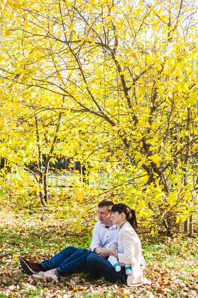 Mom and dad with a baby, a little boy walking in the fall in the Park or forest. Yellow leaves, the beauty of nature. Communication between a child and a parent. - Foto, immagini