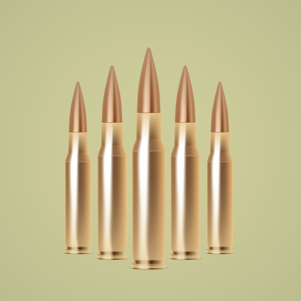 Rifle bullets - Vector, Image