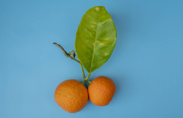 A high angle shot of fresh oranges on a blue surface - Фото, зображення